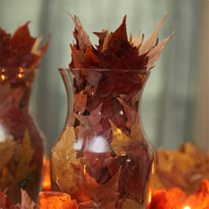 autumn leaves in vase