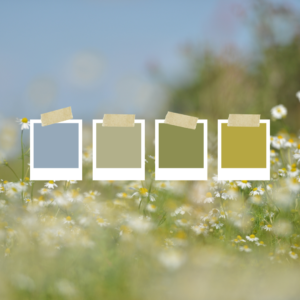 Spring colour scheme on background of daisies in a field